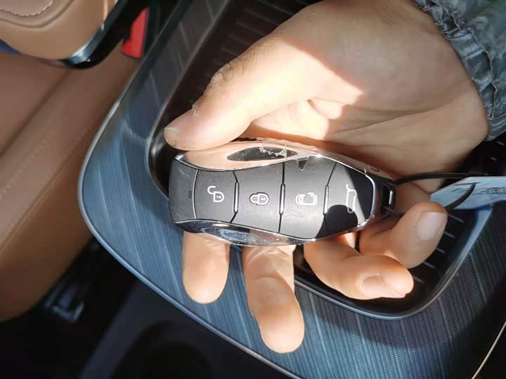 Фото 9 - Hongqi HQ9 Hybrid