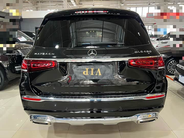 Фото 9 - Mercedes-Benz Maybach GLS