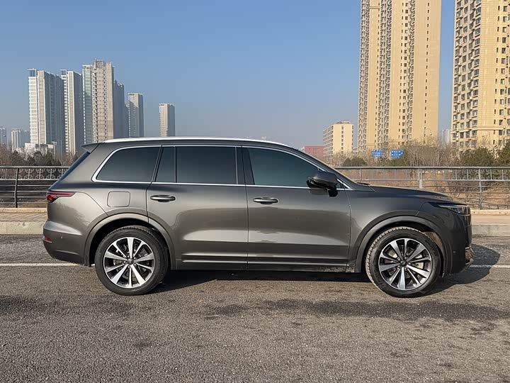 Фото 3 - LiXiang One