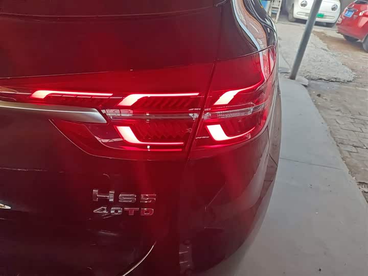 Фото 8 - Hongqi HS5