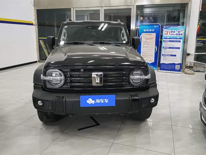 Фото 2 - Tank 300