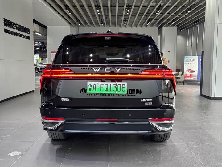 Фото 6 - Wey Lanshan