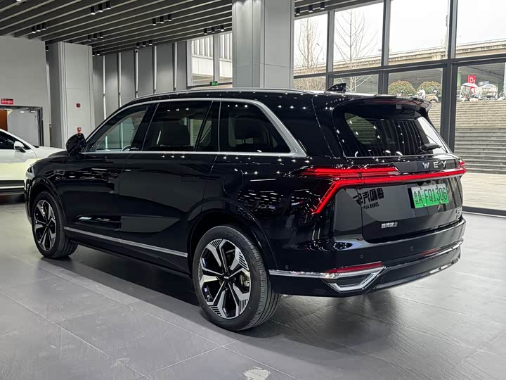 Фото 7 - Wey Lanshan