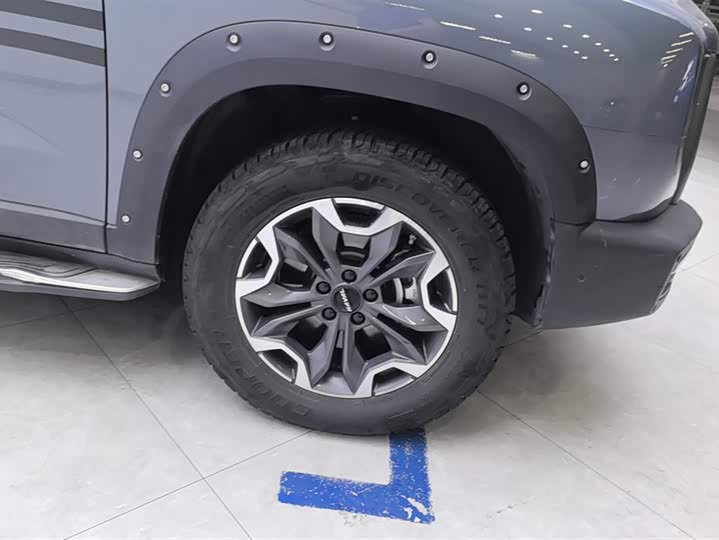 Фото 6 - Haval Dargo