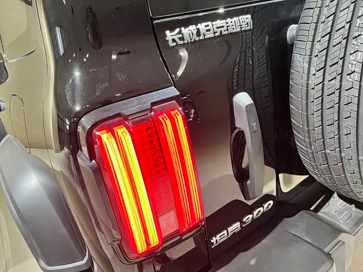 Фото 20 - Tank 300