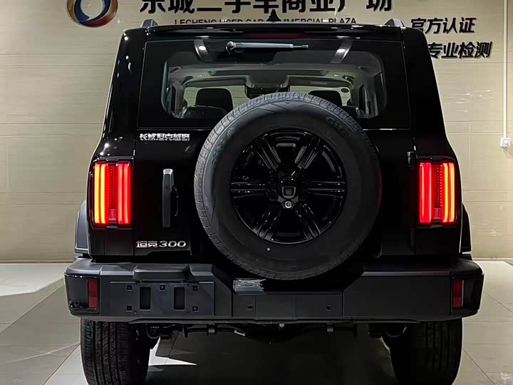 Фото 4 - Tank 300