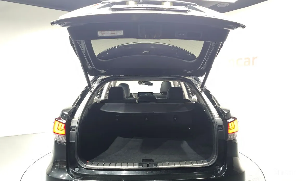 Фото 20 - Lexus RX