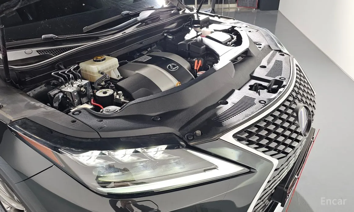 Фото 6 - Lexus RX