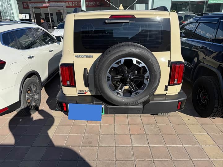 Фото 7 - Tank 300 Hybrid