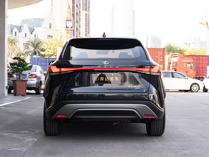 Фото 4 - Lexus RX