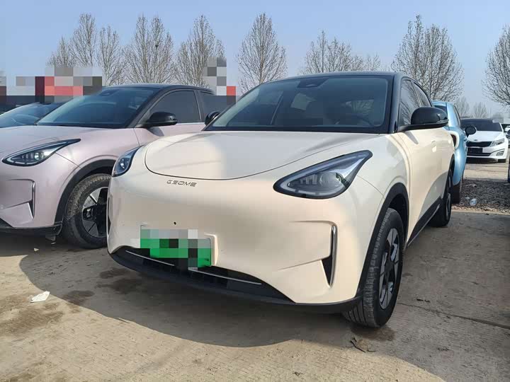 Фото 1 - Geely Galaxy Geome