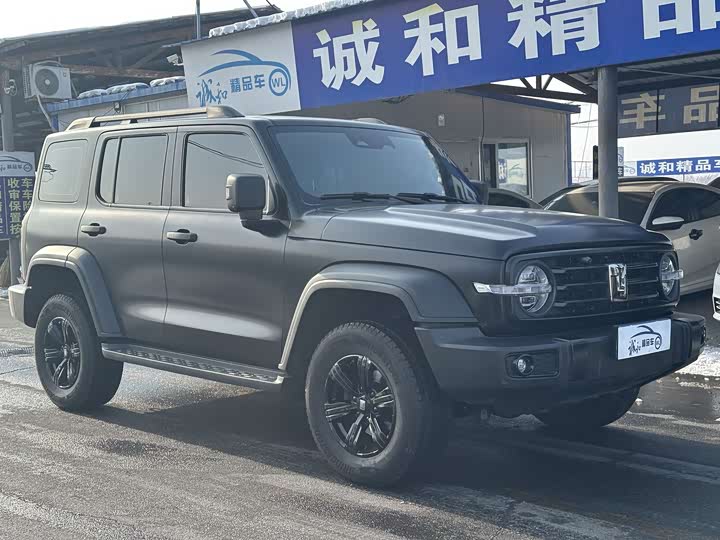 Фото 3 - Tank 300