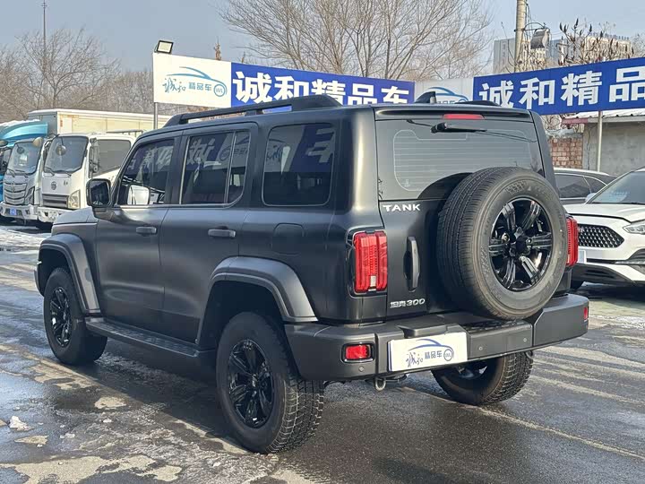 Фото 7 - Tank 300