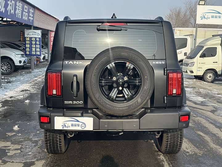 Фото 8 - Tank 300