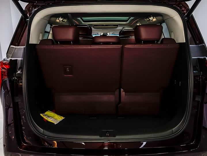 Фото 5 - Buick GL8 Century