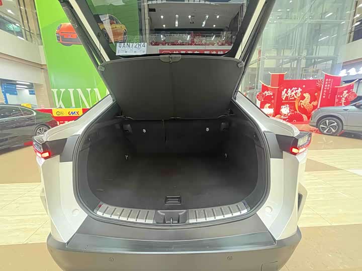 Фото 4 - Lexus RZ