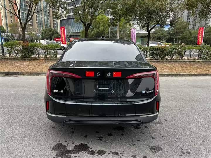 Фото 8 - Hongqi E-QM5