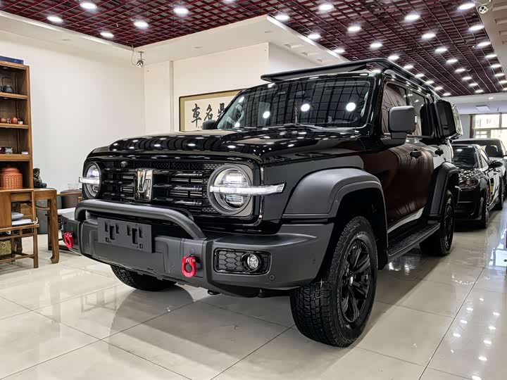 Фото 1 - Tank 300