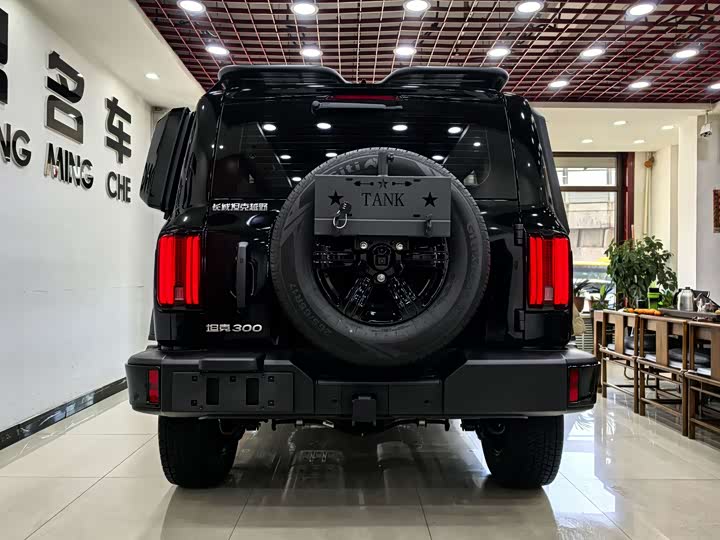 Фото 5 - Tank 300