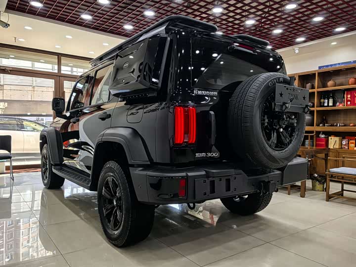 Фото 6 - Tank 300