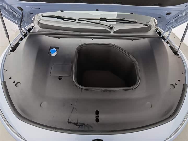 Фото 6 - Dongfeng Forthing Xinghai S7