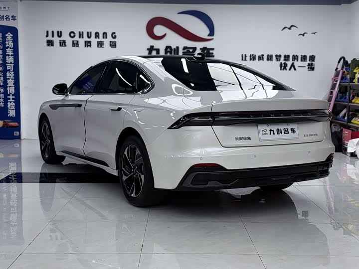 Фото 7 - Lincoln Z (Zephyr)