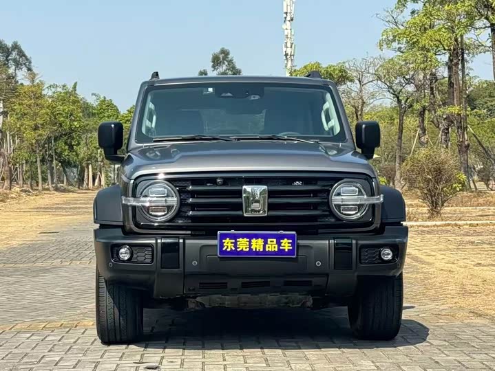 Фото 2 - Tank 300