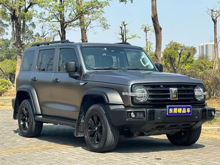 Фото 3 - Tank 300