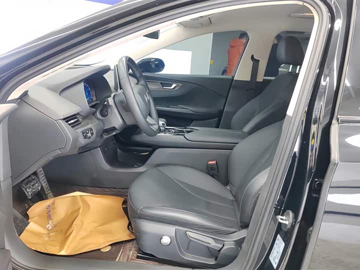 Фото 9 - Hongqi E-QM5