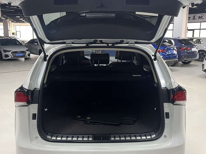 Фото 7 - Lexus NX