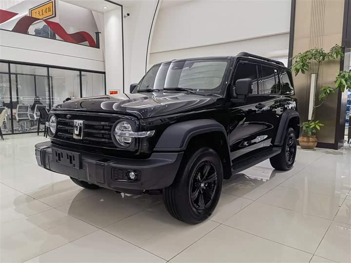 Фото 1 - Tank 300