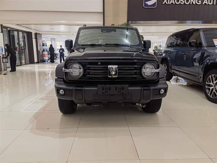 Фото 2 - Tank 300