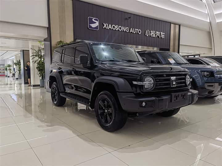 Фото 3 - Tank 300