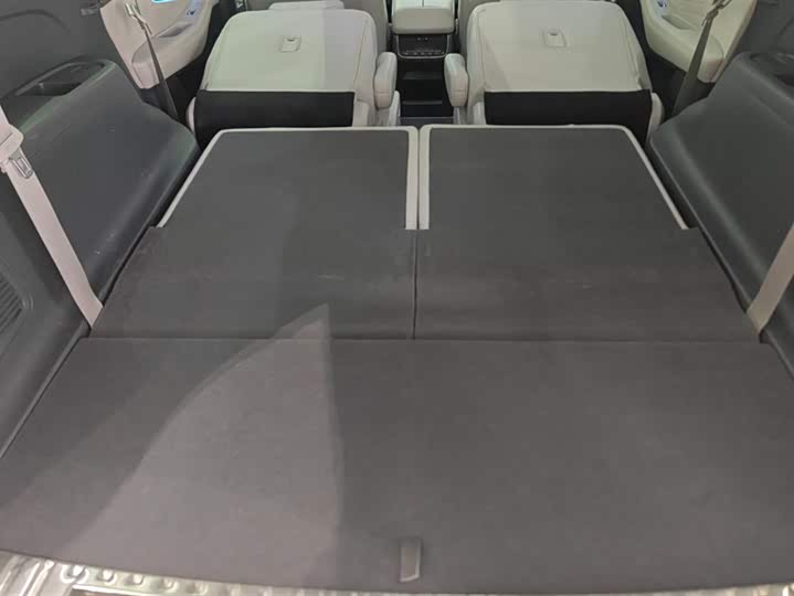 Фото 4 - GAC Trumpchi GS8