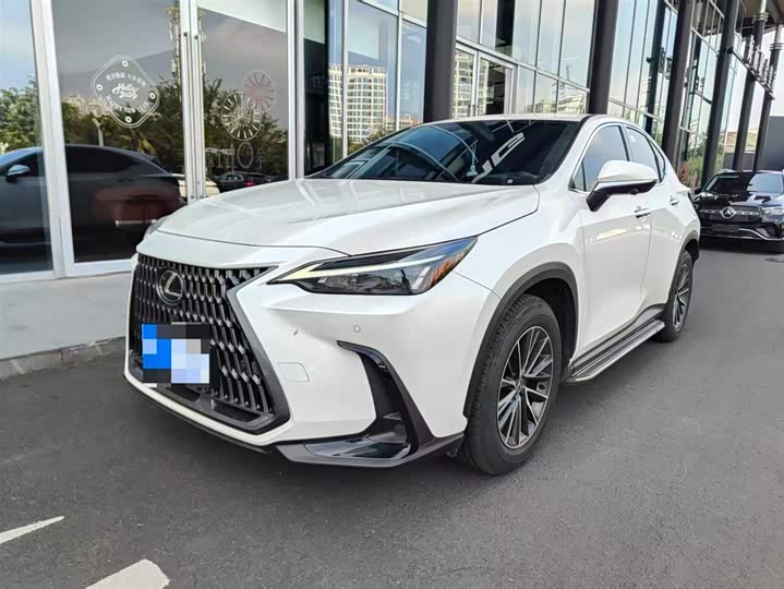 Фото 1 - Lexus NX