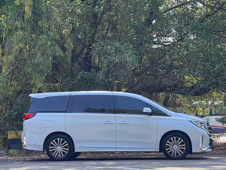 Фото 7 - GAC Trumpchi M8