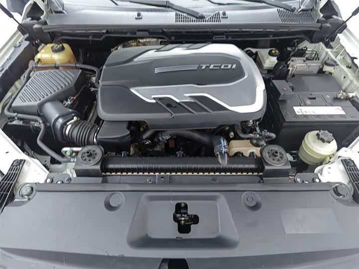 Фото 6 - Maxus T70