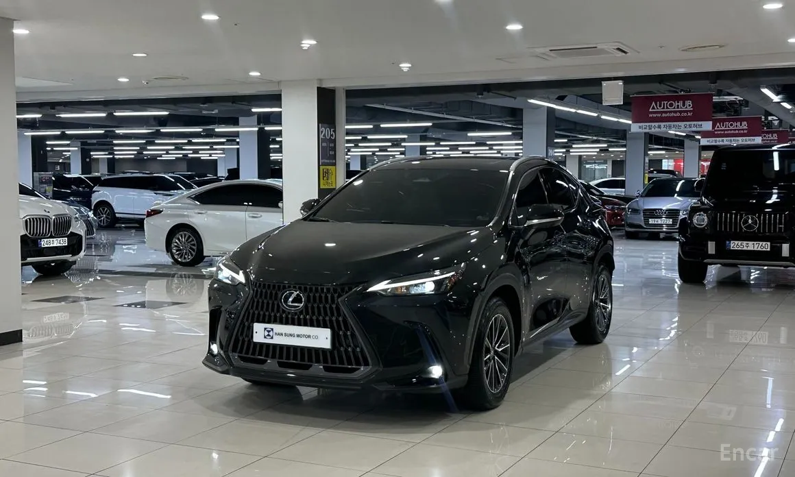 Фото 1 - Lexus NX