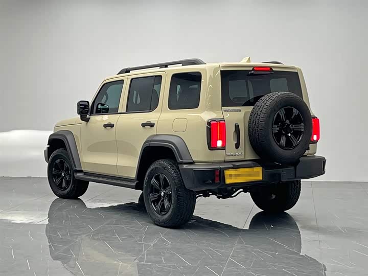 Фото 4 - Tank 300