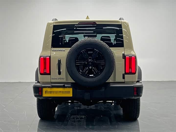 Фото 5 - Tank 300