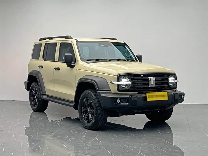 Фото 8 - Tank 300