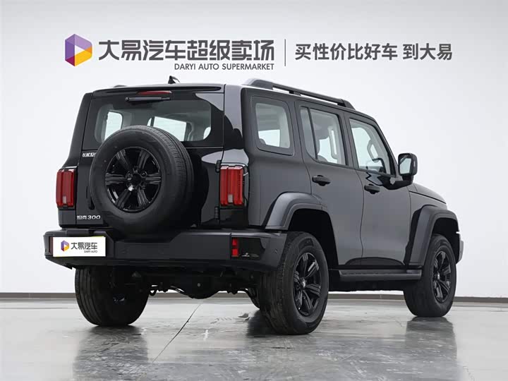 Фото 3 - Tank 300