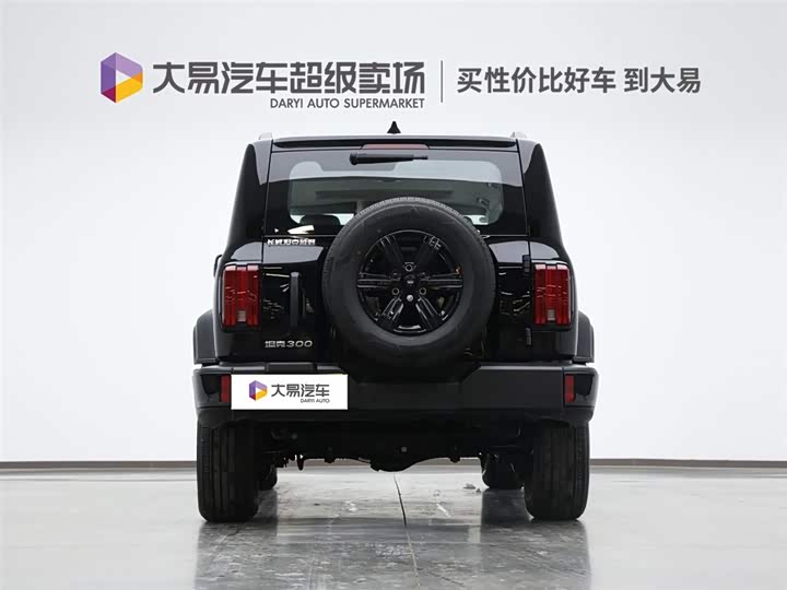 Фото 4 - Tank 300