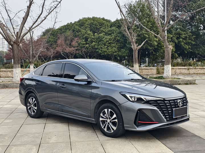 Фото 3 - Changan Eado Plus