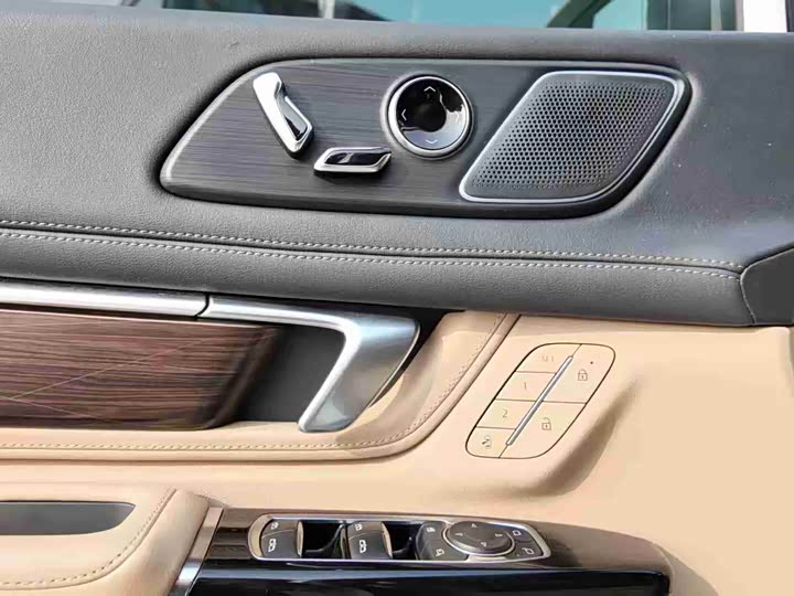 Фото 9 - Buick GL8 Century