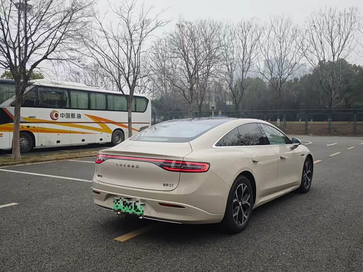 Фото 9 - Luxeed S7