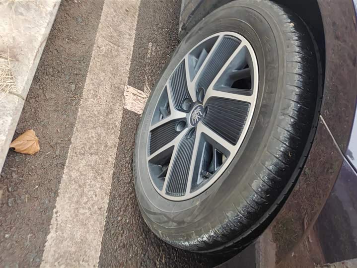 Фото 6 - BYD Qin L