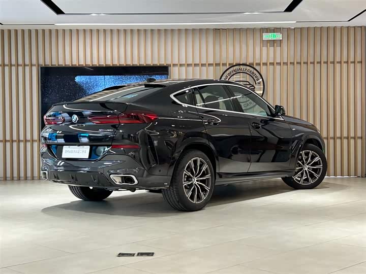 Фото 3 - BMW X6