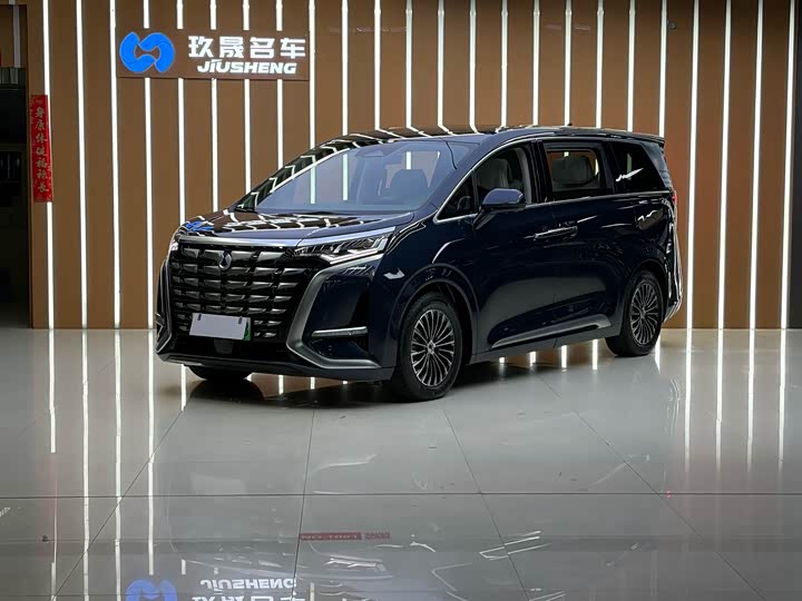 Фото 1 - Denza D9