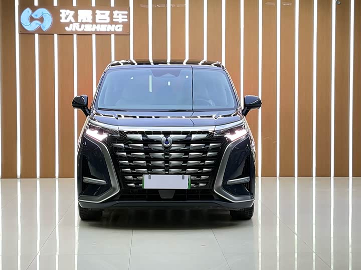 Фото 2 - Denza D9